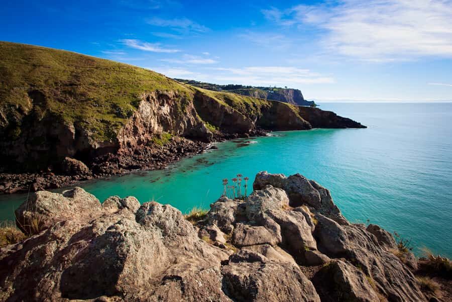 Christchurch: Guided Crater Rim Walk with Coastal Scenery - Boulder Bay picnic: the highlight that turns hiking into a proper meal