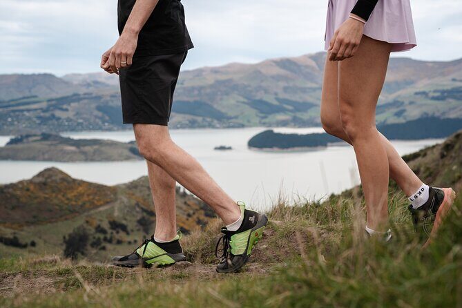 Christchurch Highlights Tour (Full Day Private) - Lyttelton Harbour Drive and Port Hills Panoramas: The Scenic Start