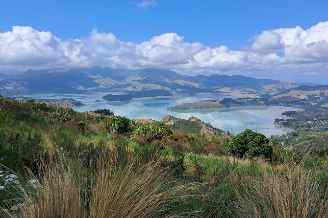 Christchurch Highlights Tour (Full Day Private) - Guided Christchurch: Walking or Driving Through the City’s Real Layout