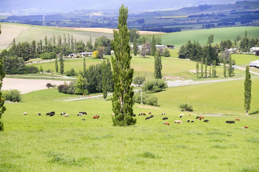 Christchurch: Lake Tekapo Stargazing & Mount Cook 2-Day Tour - Mount Cook Village: A Real Taste of Alpine Country Before the Walk