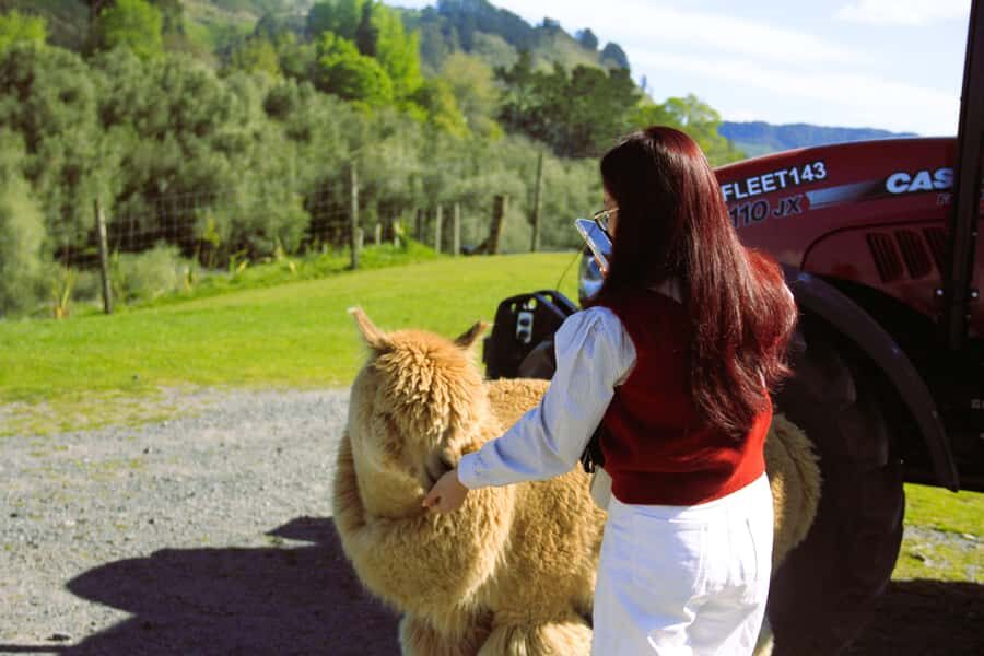 Christchurch: Lake Tekapo Stargazing & Mount Cook 2-Day Tour - From Christchurch by Luxury Minivan (Small Group Comfort)