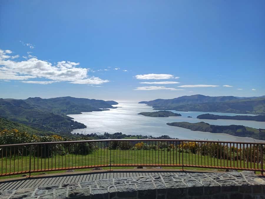 Christchurch: Packhorse Hut Guided Walk and Scenic Drive - Key things I’d circle before you go