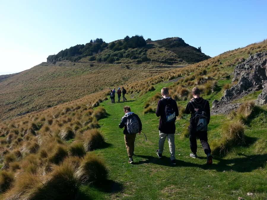 Christchurch: Packhorse Hut Guided Walk and Scenic Drive - Lunch at Packhorse Hut: more than a meal break