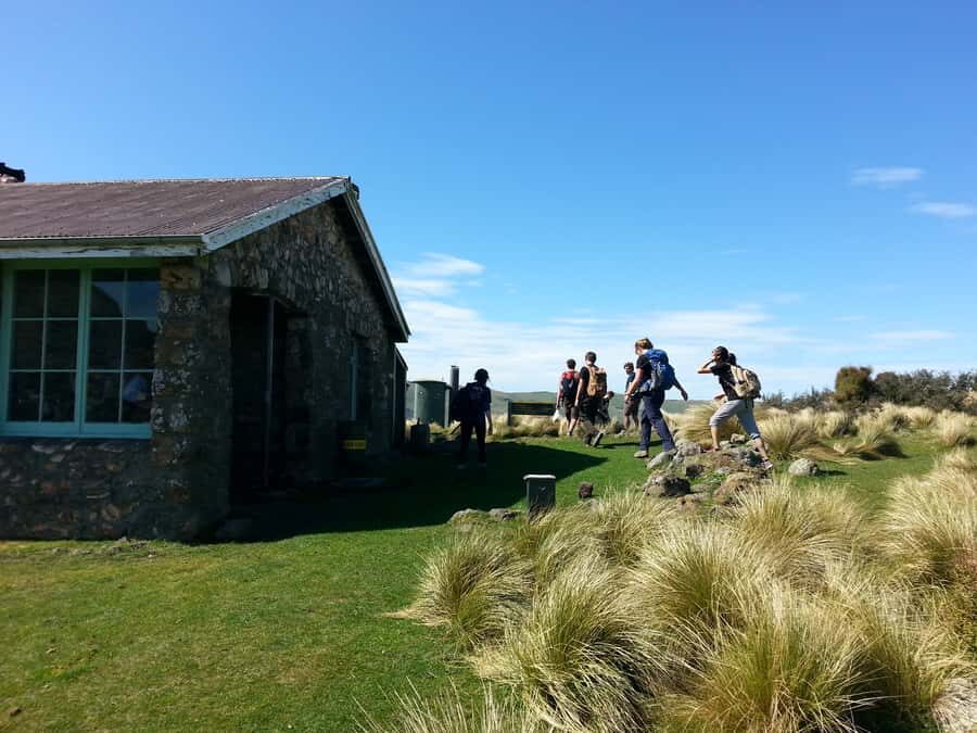 Christchurch: Packhorse Hut Guided Walk and Scenic Drive - Should you book the Christchurch Packhorse Hut guided walk and scenic drive?