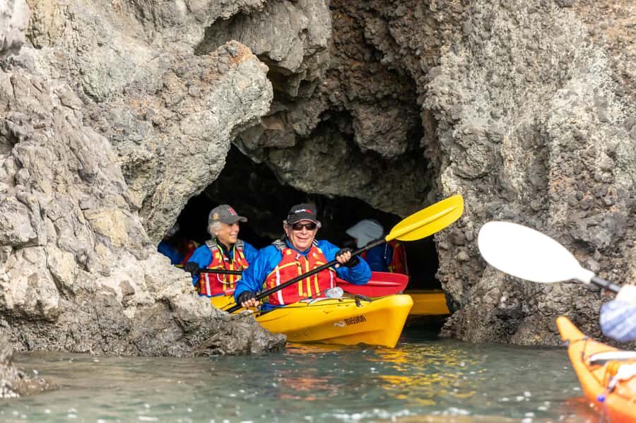 Christchurch: Sea Kayaking Tour of Lyttelton Harbour - What Makes This Kayak Day Worth Your Time