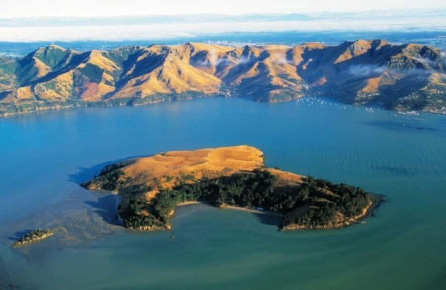 Christchurch: Sea Kayaking Tour of Lyttelton Harbour - Who This Tour Suits Best (And Who Should Think Twice)