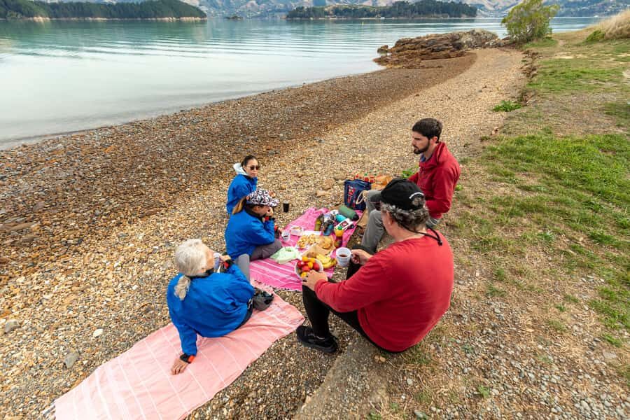 Christchurch: Sea Kayaking Tour of Lyttelton Harbour - Quail Island Crossing: From Harbour Calm to Shipwreck Energy