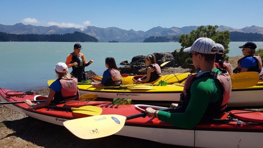 Christchurch: Sea Kayaking Tour of Lyttelton Harbour - Lunch on Quail Island: A Real Break, Not Just a Snack Stop