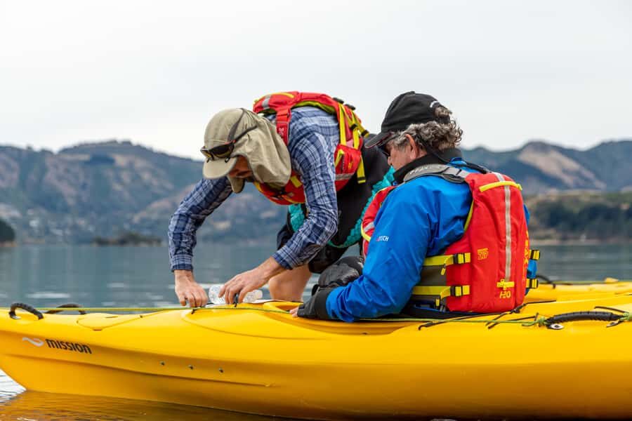 Christchurch: Sea Kayaking Tour of Lyttelton Harbour - Price and Value: What $268 Buys You (And Why It Adds Up)