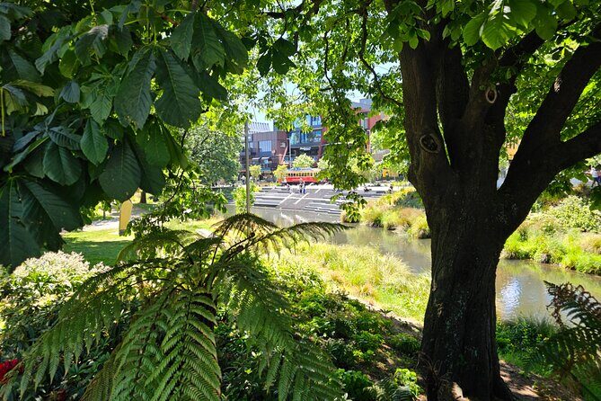 Christchurch Secret Inner City Walking Tour and Hidden Gems - Why this 2-hour Christchurch inner-city walk makes sense