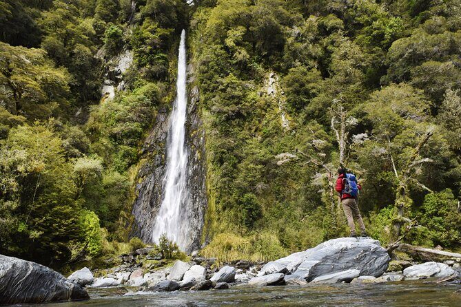 Christchurch to Queenstown 2 Day Tour via Franz Josef - The small-group rhythm: guide energy and stop timing