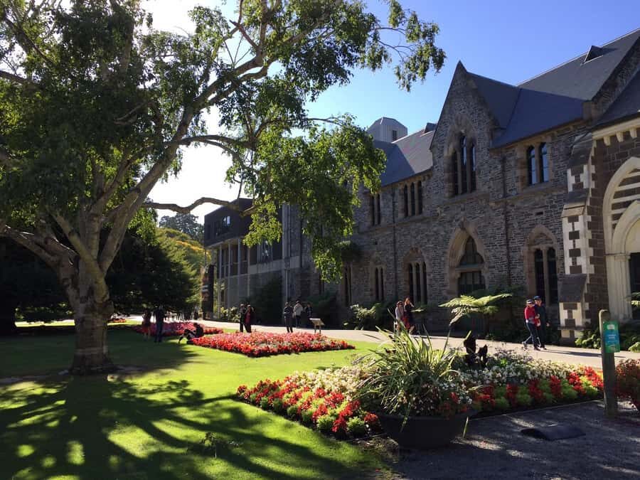 Christchurch: to Queenstown via Mt Cook 1 Way Tour - Who this tour suits best (and who should rethink it)