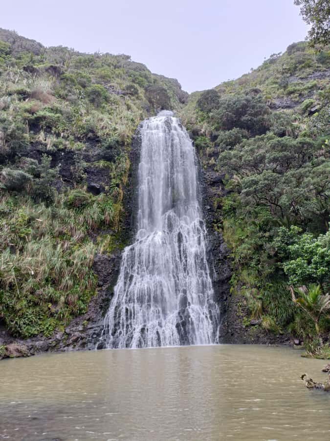 “City & Coast & Country” – A Relaxed Day Tour from Auckland - Auckland to the West Coast: The Day’s Easy Flow in a Small SUV