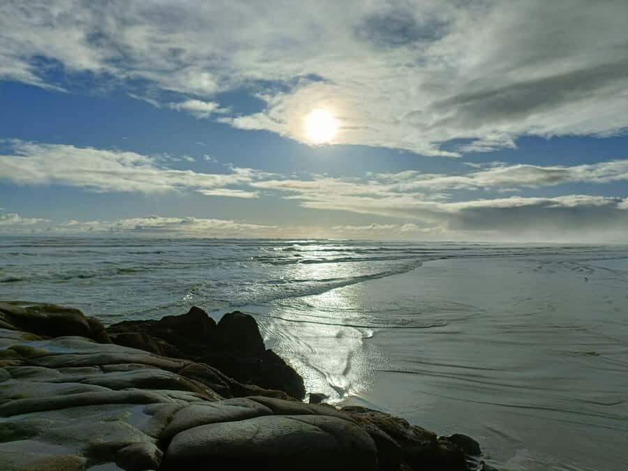 “City & Coast & Country” – A Relaxed Day Tour from Auckland - Piha Beach: Powerful Waves and the Lookout-First Way to See the Coast