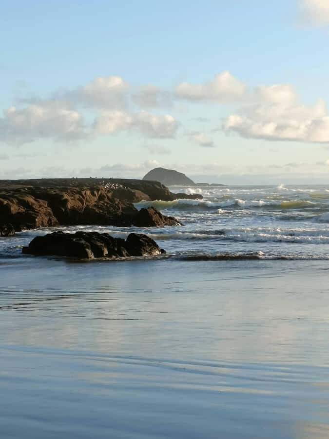 “City & Coast & Country” – A Relaxed Day Tour from Auckland - Muriwai Gannet Colony and Black-Sand Coastline