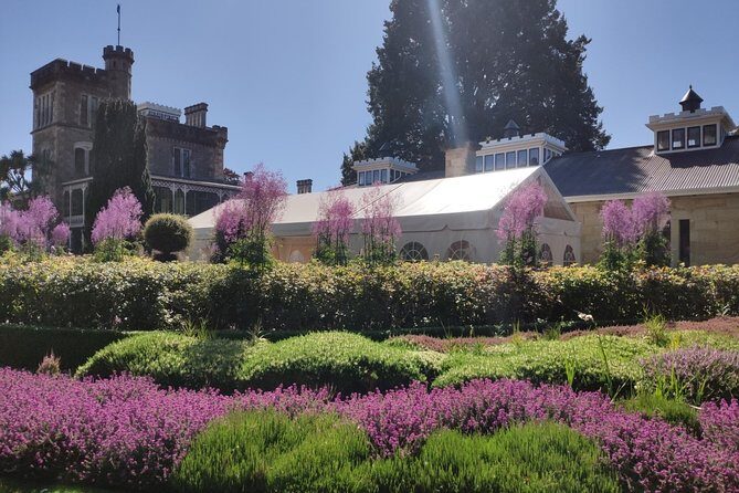 City Highlights, Larnach Castle & Peninsula Views - Key Things I’d Zoom In On