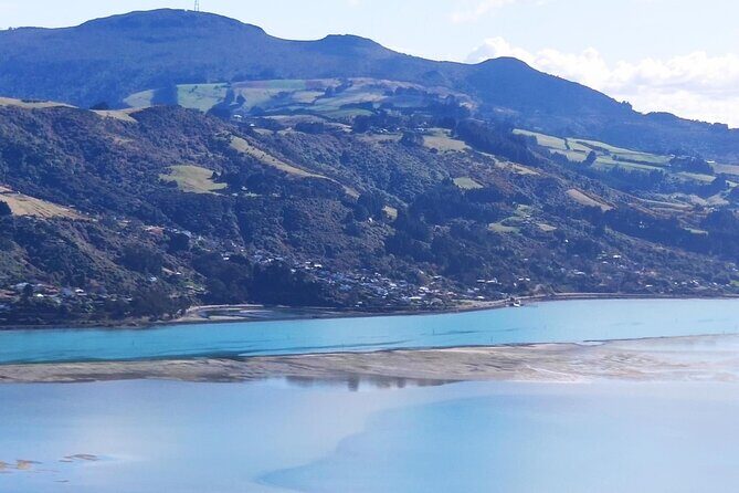 City Highlights, Larnach Castle & Peninsula Views - Otago Peninsula: Wind, Cliffs, and Big Views