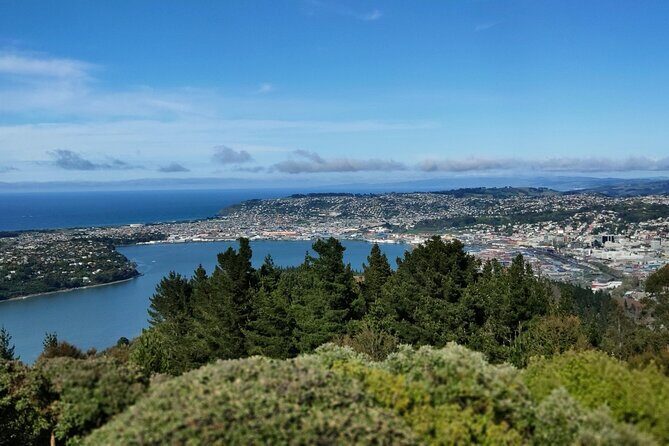 City Highlights, Larnach Castle & Peninsula Views - Price and Value: Is $152.66 Worth It?