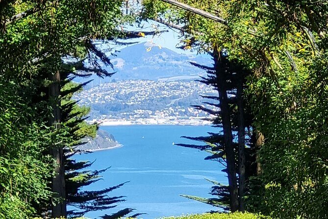City Highlights, Larnach Castle & Peninsula Views - Pickup, Timing, and Why the 5-Hour Pace Works