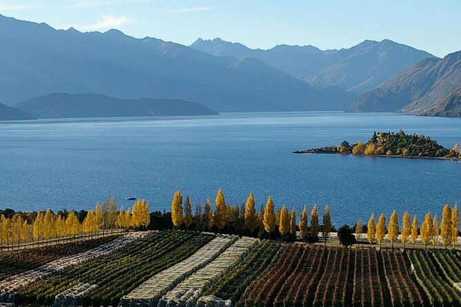 Classic Wanaka Wine Tour - Central Otago: Southern Latitude Meets Pinot Noir