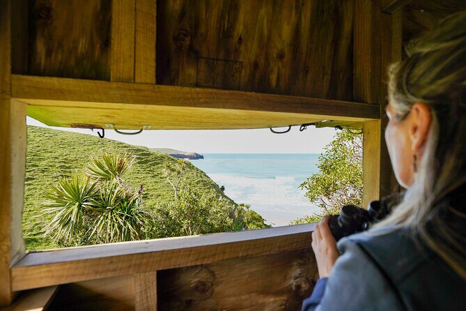 Clearwater Private Penguin & Wildlife Tour from Port Otago (5hrs) - Price and value: what you’re paying for (and what you get)