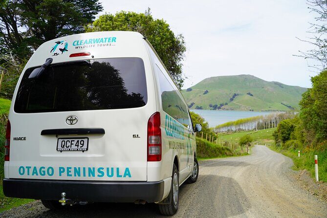Clearwater Private Penguin & Wildlife Tour from Port Otago (5hrs) - What to pack for a 5-hour Otago Peninsula day