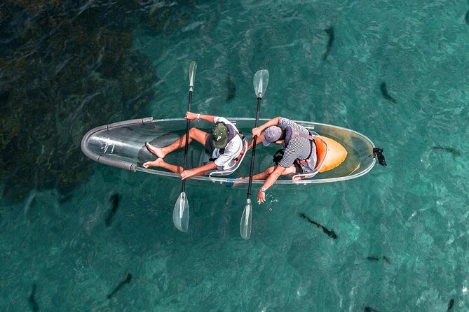 Clearyak hire at Goat Island Marine Reserve - Quick hits before you go