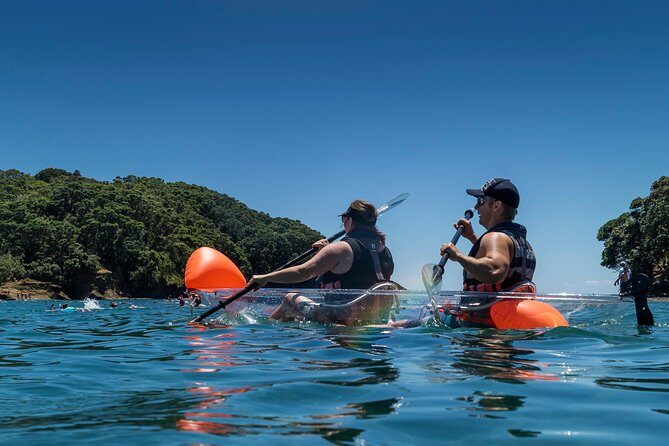 Clearyak hire at Goat Island Marine Reserve - 30 vs 60 minutes, and choosing morning or afternoon