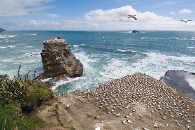 Coast to Coast Private Eco Tour - Key Things You’ll Notice on This Tour