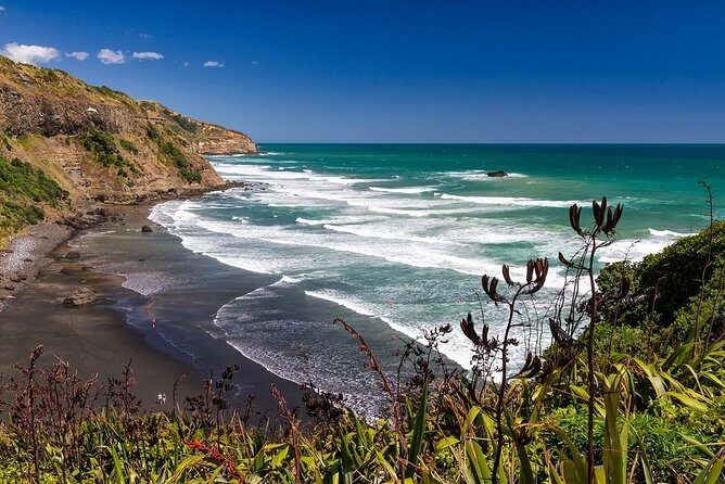 Coast to Coast Private Eco Tour - Stop 1: Muriwai Beach and the Gannets Up Close