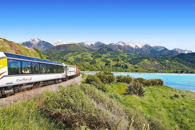 Coastal Pacific Train Journey from Christchurch to Picton - Christchurch to Picton on the Coastal Pacific: what makes it special