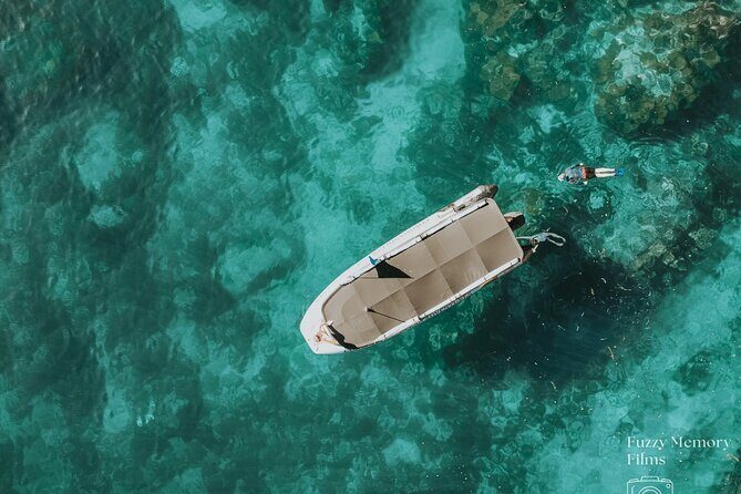 Coromandel Adventure and Wildlife Boat Tour to Aldermen Islands - Key highlights you’ll care about