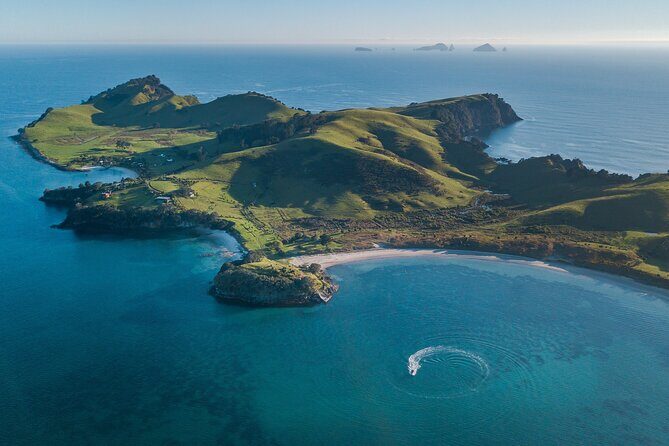 Coromandel Adventure and Wildlife Boat Tour to Aldermen Islands - Coromandel to Aldermen Islands: what this tour is really offering