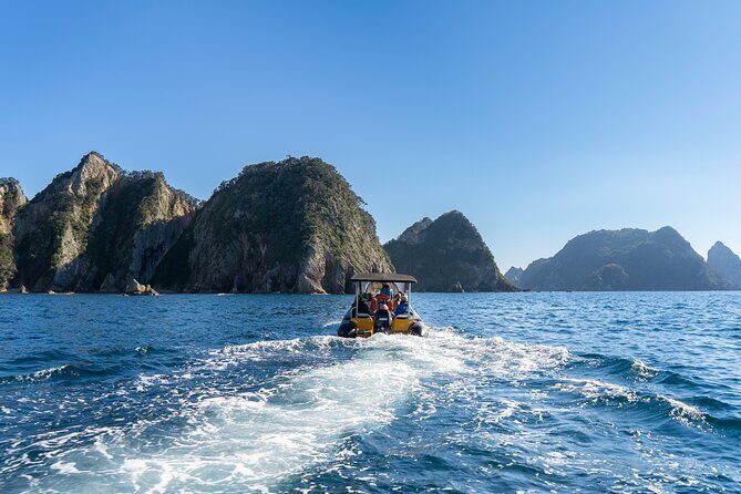 Coromandel Adventure and Wildlife Boat Tour to Aldermen Islands - Aldermen Islands and the Vanishing Volcanoes: the scenery you’ll remember