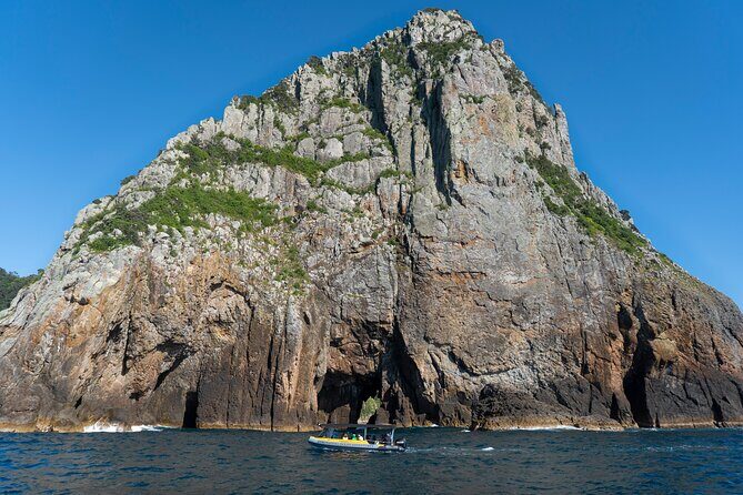 Coromandel Adventure and Wildlife Boat Tour to Aldermen Islands - Wildlife sightings: seals, dolphins, whales, and the birds you’ll notice