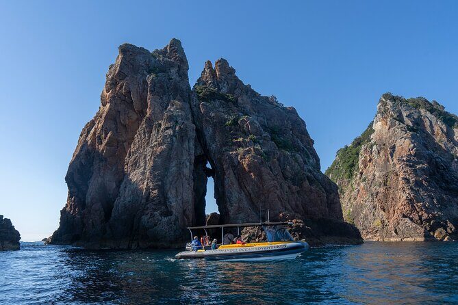 Coromandel Adventure and Wildlife Boat Tour to Aldermen Islands - Duration, group size, and comfort for a 2-hour outing
