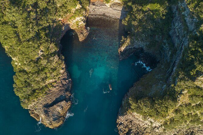 Coromandel Adventure and Wildlife Boat Tour to Aldermen Islands - Price and logistics: is it worth $102.39?