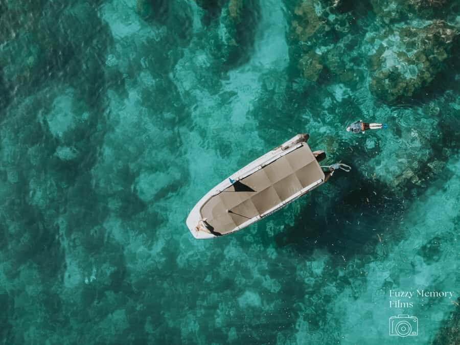 Coromandel: Aldermen Islands Marine Reserve Wildlife Cruise - Key highlights worth marking on your map