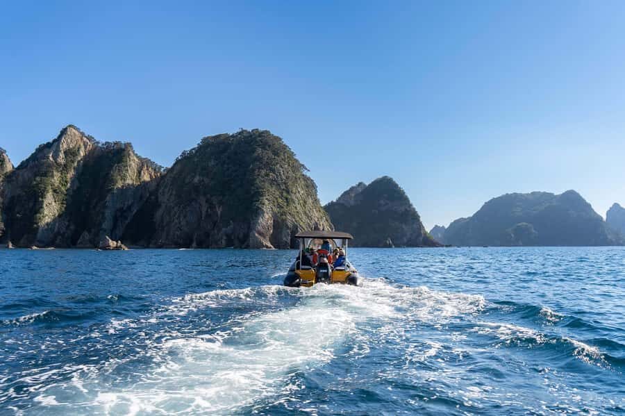 Coromandel: Aldermen Islands Marine Reserve Wildlife Cruise - Snorkelling time: using the included gear to see what’s under you