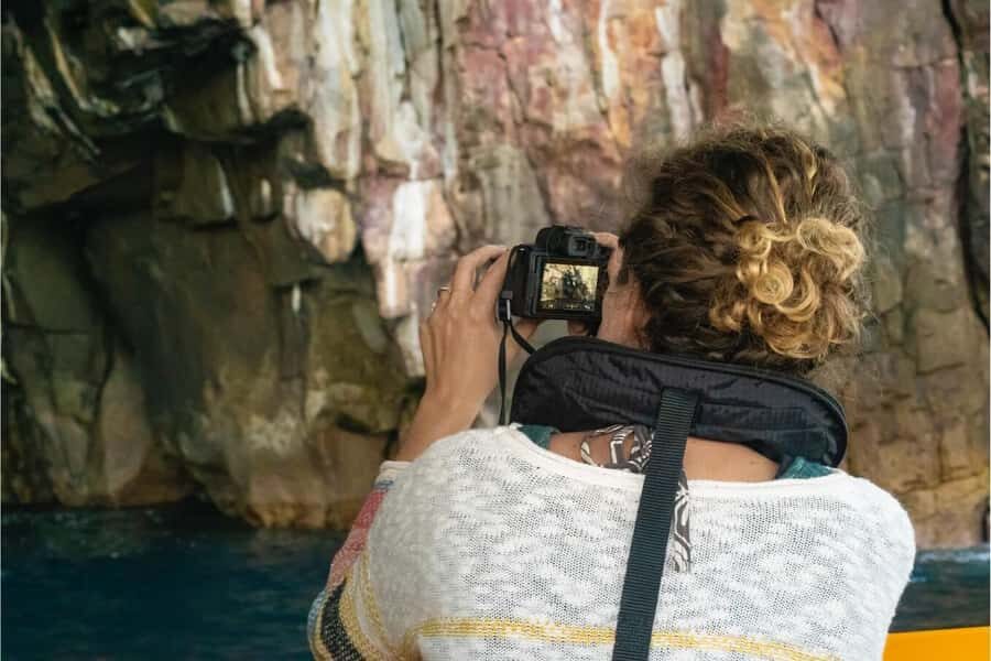 Coromandel: Aldermen Islands Marine Reserve Wildlife Cruise - What to bring for a swim-and-spot day in Coromandel