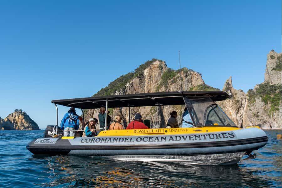 Coromandel: Aldermen Islands Marine Reserve Wildlife Cruise - The 2-hour plan on the water: what happens during your cruise