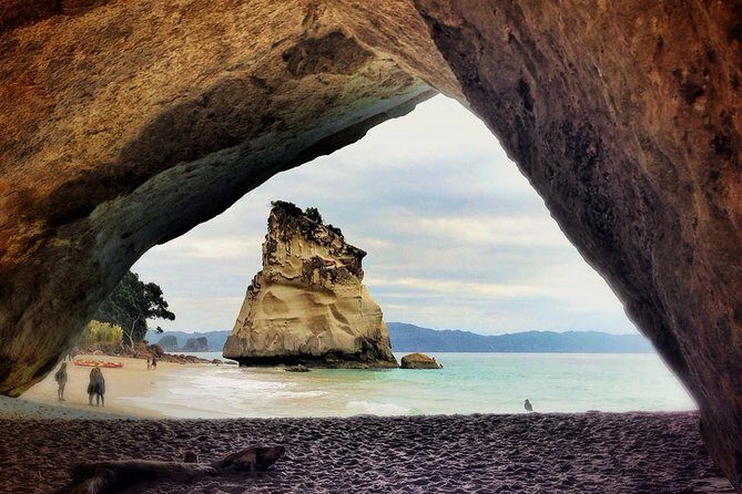 Coromandel Coastal Experience - Small Group Tour from Auckland - What the guided day adds beyond the beaches