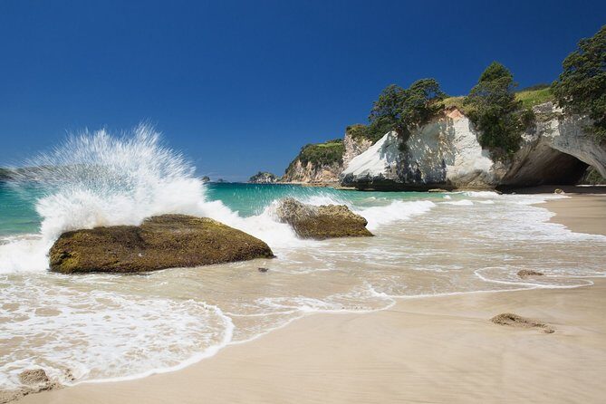 Coromandel Coastal Experience - Small Group Tour from Auckland - Price and logistics: value for a long day with real inclusions