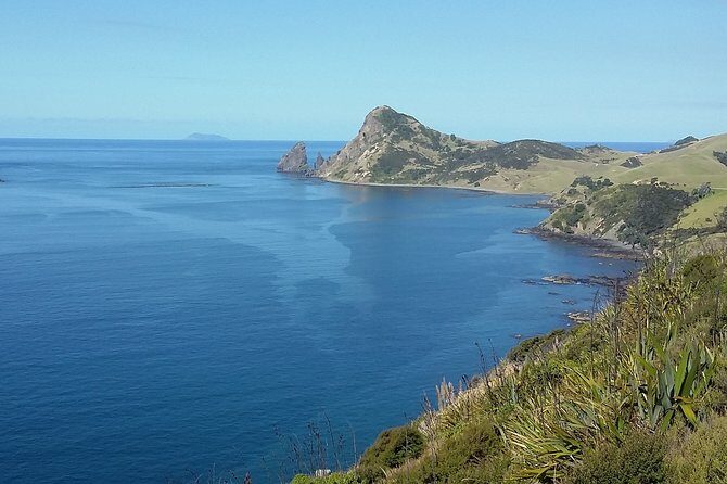 Coromandel Coastal Experience - Small Group Tour from Auckland - Who should book this Coromandel day trip, and who should skip it