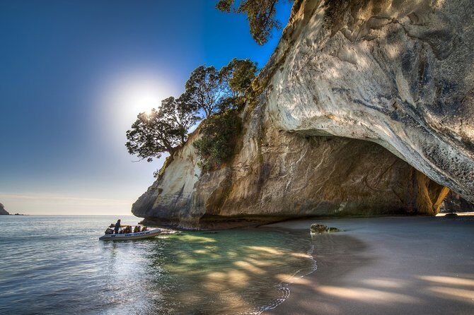 Coromandel Coastal Experience - Small Group Tour from Auckland - Should you book it?