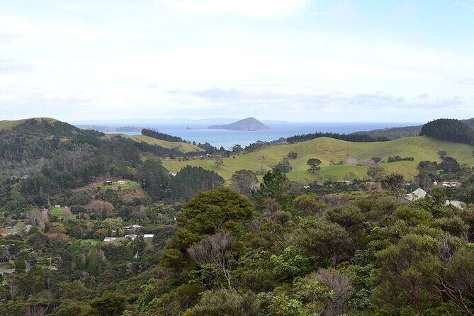 Coromandel Day Tour From Auckland - Hot Water Beach Mineral Pools: The Fun Part (and What to Bring)