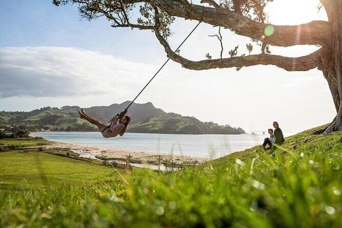 Coromandel Day Tour From Auckland - Cathedral Cove Coastal Walk: Getting to the Iconic Spot the Easy Way