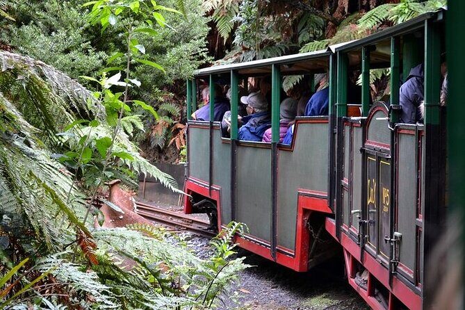 Coromandel Day Tour From Auckland - Price and Value for $284.84: Why This Costs What It Costs
