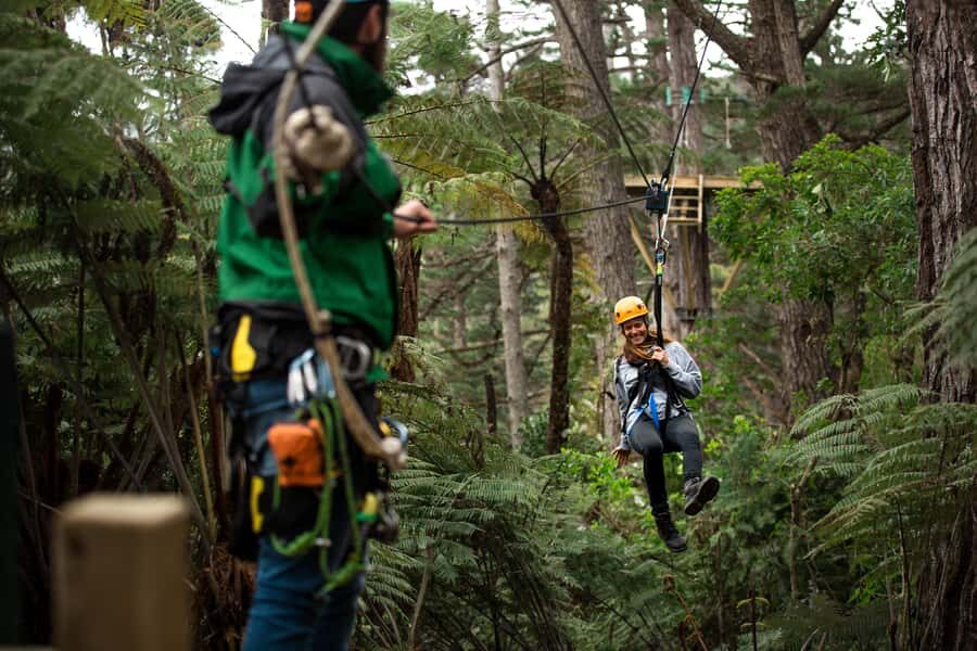 Coromandel: Guided Zipline Tour Experience - Key things to know before you go