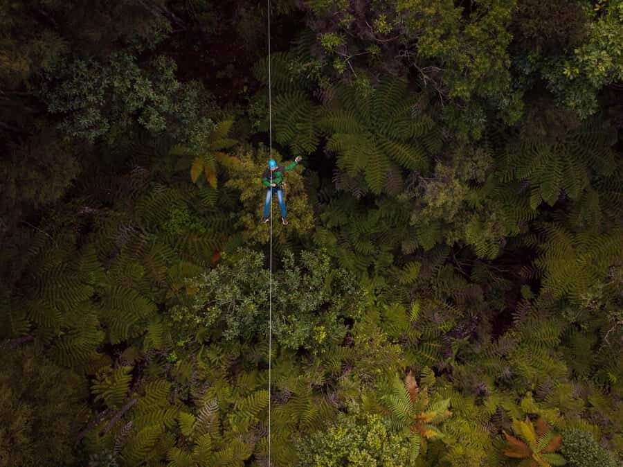 Coromandel: Guided Zipline Tour Experience - Coromandel’s zipline tour: what the experience really feels like